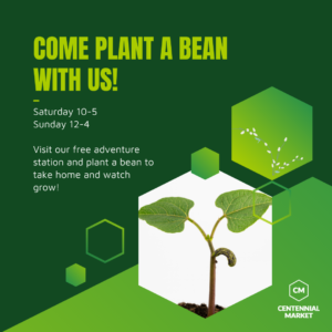 Come plant a bean with us!